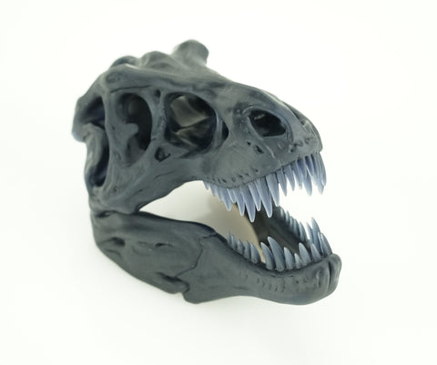 Scale T Rex skull